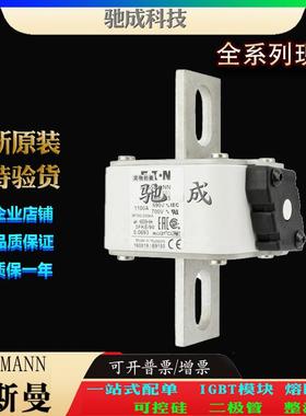 巴斯曼170M6666 170M6667 170M6668 厂家原装优价供应 快熔保险丝