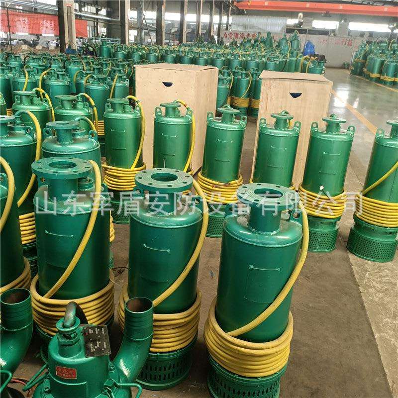 BQS矿用隔爆型排沙潜水电泵 陕西防爆BQS60-260/2-110/Nkw 660v