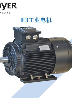 丹麦HOYER霍尔电机HMA3/HMC3铝壳/铸铁三相异步交流工业电动机IE3