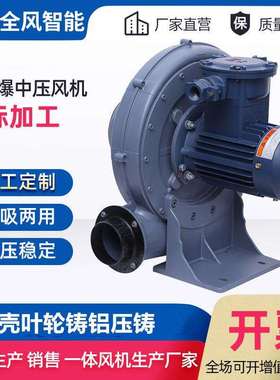 粉尘防爆型鼓风机 气体隔爆式鼓风机 石油化工防爆风机 EXDII BT4