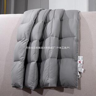 白鹅绒冬被加厚保暖羽绒被春秋被五星酒店被子芯学生宿舍白色灰色