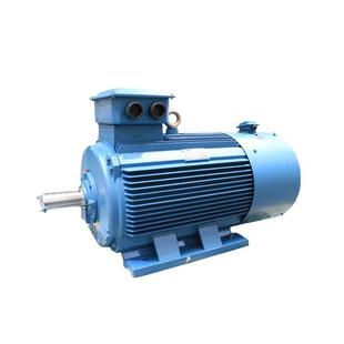 200KW质量可靠Y系列交流电机一年质保 YGM2 355M