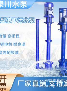 100YW110-10-5.5液下式排污泵单管加长排污泵 加长2米污水泵