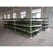 上智蚕具省力化蚕台大蚕饲养设备快装 蚕台养蚕用具蚕架蚕座蚕床 式