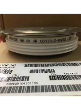 6SY7010-0AA52 6SY7010-0AA38 6SY7010-0AA42 6SY7010-0AA49原装