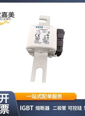 170M4262 170M4263  快速熔断器  电子元器件 库存充足 量大价优