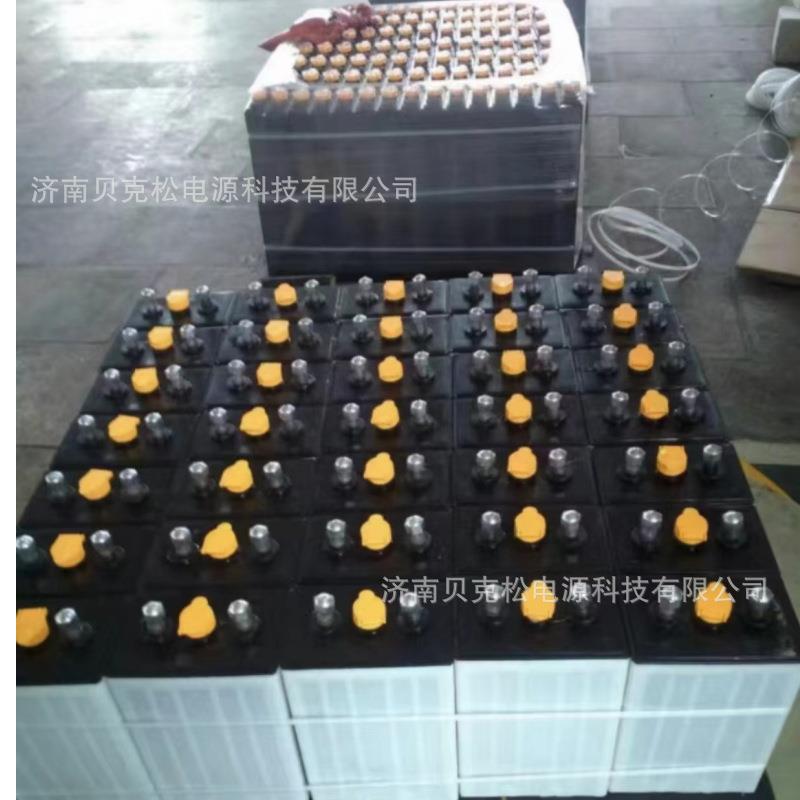 百瑞欧蓄电池D250 D330 D395 D440 搬运车2v免维护 平板车 牵引车