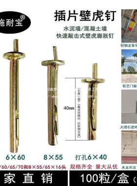整箱插片壁虎水泥墙快速打入式膨胀螺丝敲击式膨胀壁虎钉6mm锤击