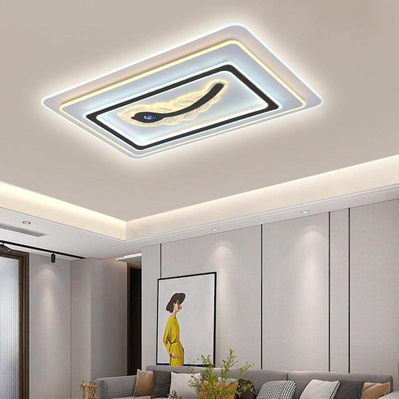 客厅灯2023年新款长方形单羽毛轻奢现代简约卧室灯led吸顶灯灯具