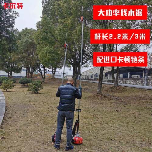 高枝油锯汽油二四冲加长杆修枝锯进口链条伐木锯高空剪高枝锯神器