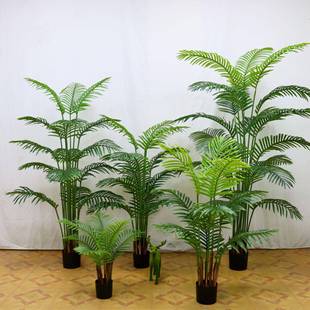 仿真散尾葵盆栽凤尾葵北欧室内家居摆件落地装饰贵妃葵盆景真