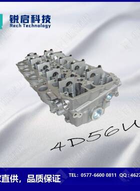 4D56U2.5DIDL200气缸盖1005A5601005B45290851916V