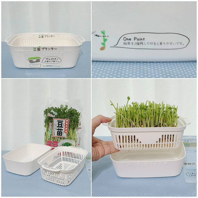 日本进口豆苗发芽盆豆芽育苗盘蔬菜无土水培猫草种植盘种菜托盘