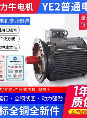 YE2-280S-6-45三相异步电动机六极全铜线电机铸铁交流电动机