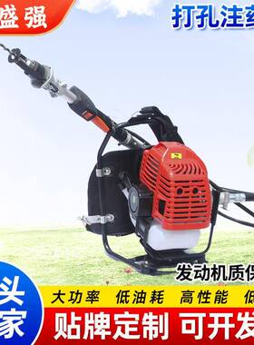 打孔注药机果树钻孔打药机大功率背负式汽油钻孔森林灭虫注杆机