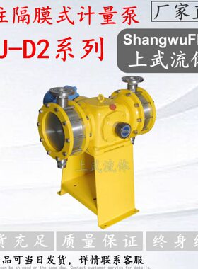 双.2/ 0DJ头泵1- D0隔膜式计量泵2型D70DJ 不锈钢-隔膜式计量泵5
