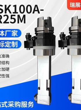 HSK100A-ER25M角度头 直角铣头 加长直角铣头 小孔型 侧铣头