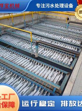 MBR膜帘式组件PVDF中空纤维超滤工业养殖污水处理一体化设备