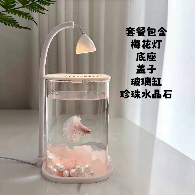 斗鱼专用双缸鱼缸装饰高透u客厅迷你小型造景玻璃桌面双格创意生