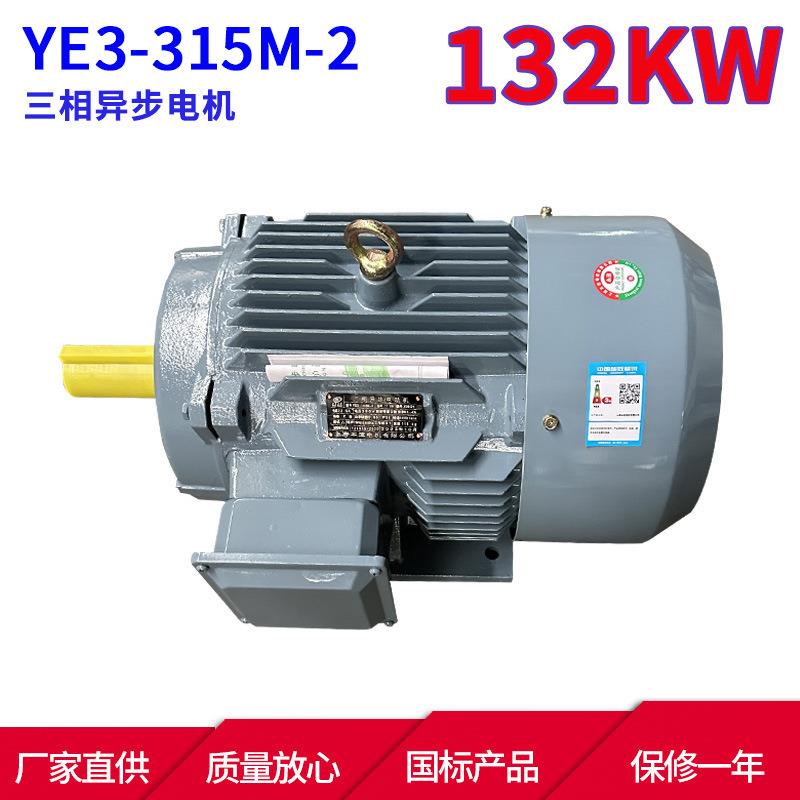 YE3系列马达三相异步电动机YE3-315M-2132W2极三相异步电机