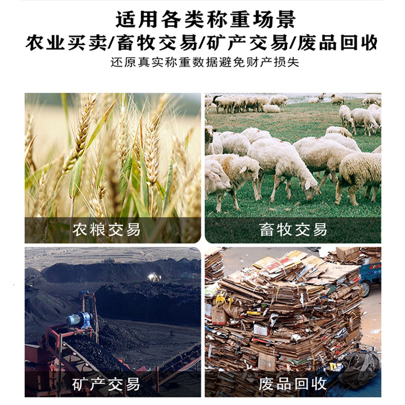 地磅防控仪称重监检测电子秤干扰器遥控防控自动屏蔽通用大灰狼