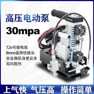 电动打气机220v高压充气泵单缸30mpa4500psi车载充气泵家用潜水瓶