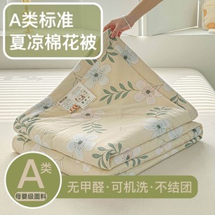 夏天全棉花被夏凉被2o025新款 空调 空调被双人夏被可机洗水洗薄款