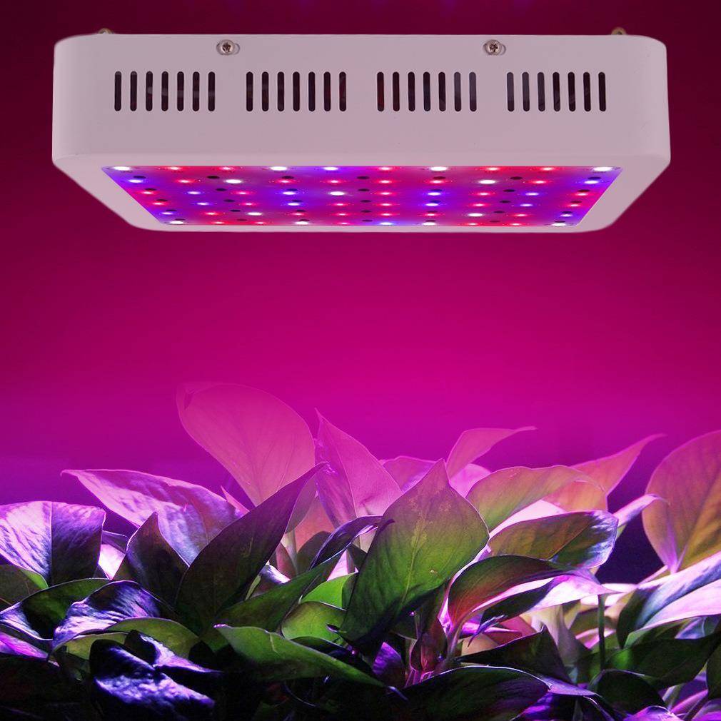 跨境直供300W大功率红蓝白光植物灯全光谱LED种植灯阳台补光灯
