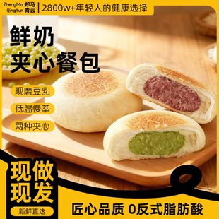 豆乳餐包郑马青云豆乳夹心早餐面包下午茶充饥便携适合学生白领