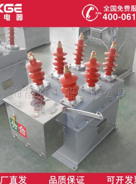 G手动户外12真空断路器8W/W20电动-8 -真空断路器ZZ不锈钢630