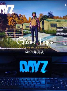 亚马逊热销 dayz创意灯箱夜灯游戏周边led灯气氛灯家居装饰