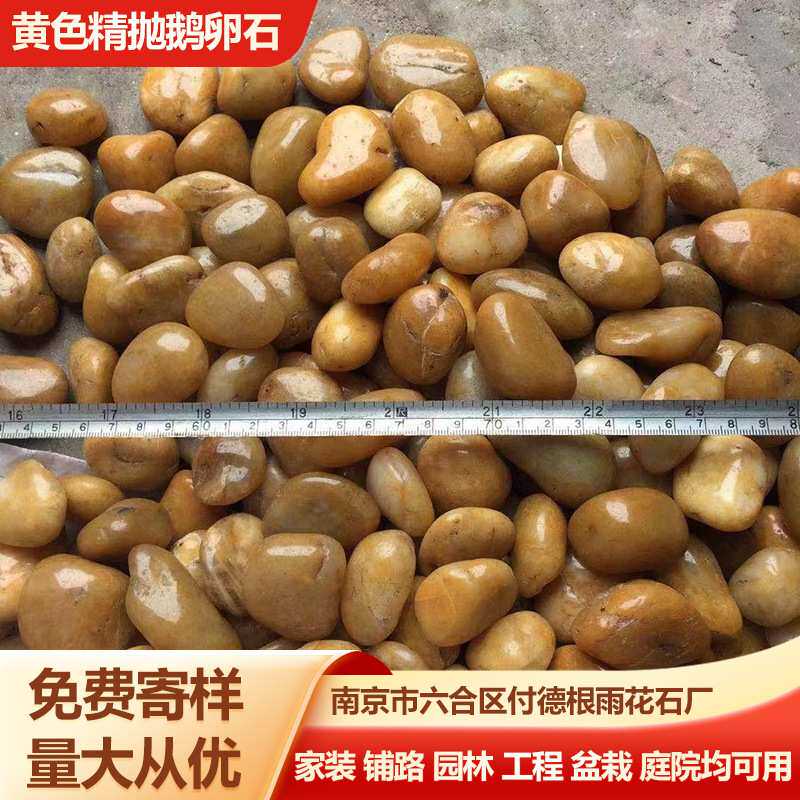 原产地黄色精抛鹅卵石 精品抛光黄色石子 园林景观铺地黄色雨花石