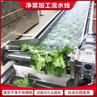 净菜设备辣椒清洗机包装袋清洗喷淋设备果蔬清洗机