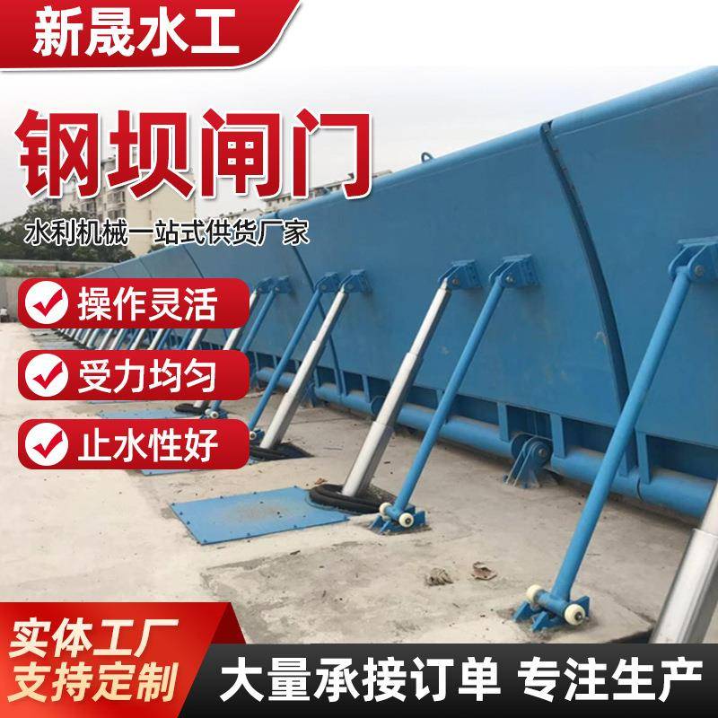 液压钢制闸门水库河道处理景观水利大型底横轴全自动液压钢坝闸门