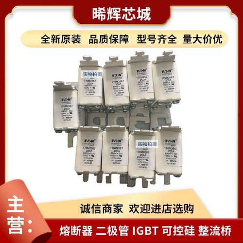 170M2667  170M3929 巴斯曼直流快速熔断器全新原装量大从优现货