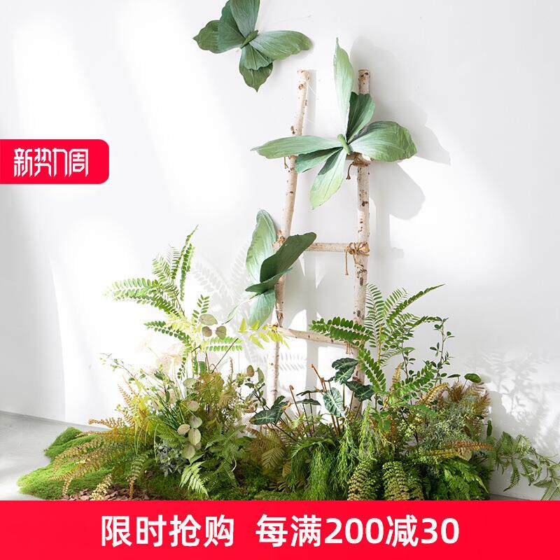 仿真丛林绿植造景蝴蝶橱窗软装仿生青苔蕨叶景观网红拍照背景花艺