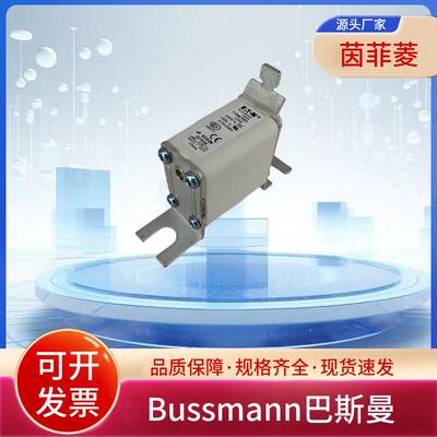 熔断器170M2667 170M2668 170M2669 170M2670 170M2671 170M2691