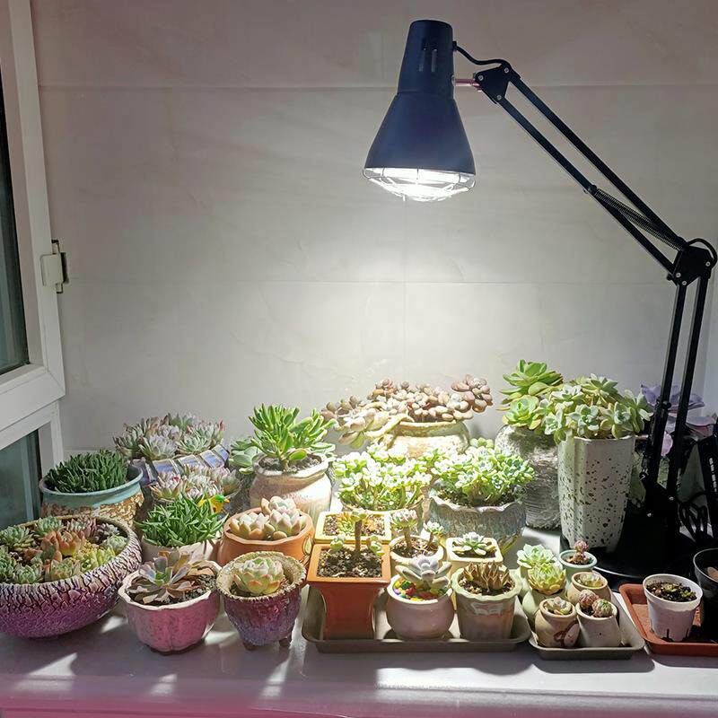 全光谱水草植物补光灯泡led灯鱼缸爆藻生长仿太阳室内花卉苔藓墙图片