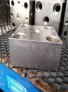 泰丰供应TTLFA025DBWT 型盖板厂家直销 液压机配件