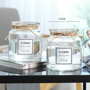 铜钱草水泡植物水里养q的水培小型迷你家养房间客厅卧室书房摆件