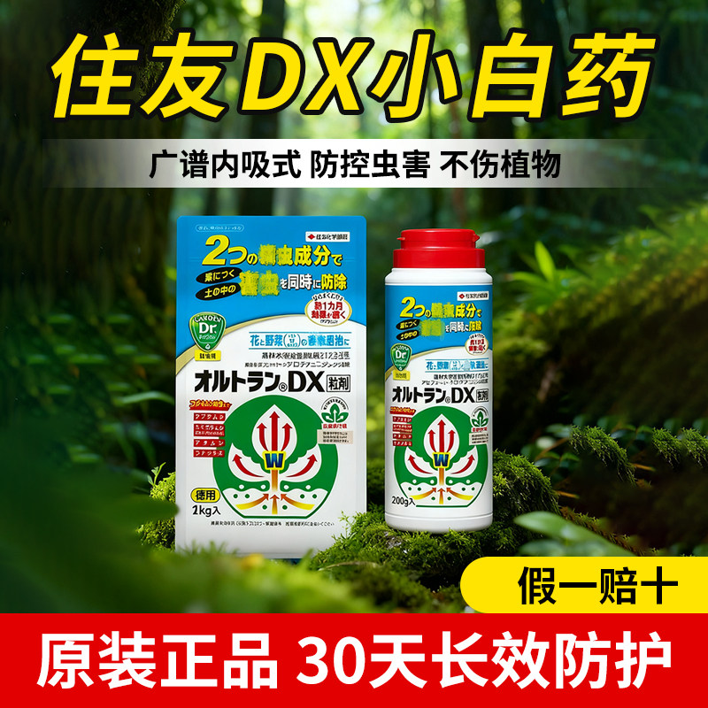 日本住友dx小白药杀虫剂盆景花卉植物肉锥根粉蚧介壳虫专用防虫粒