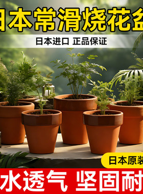 【日本进口】常滑烧古窑素烧花盆