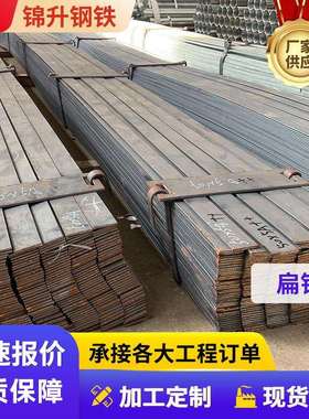 镀锌扁钢q235b镀锌圆现货钢条铁条耐磨扁钢条扁钢钢条带孔方棒