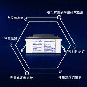 理士蓄电池DGM12100 自动控制系统12V100AH免维护电池