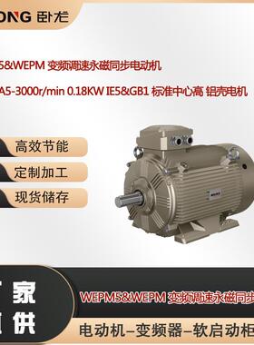 WEPMA5-3000r/min0.18WIE5&GB1标准中心高铝壳电机