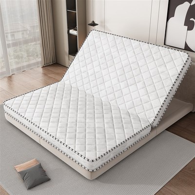 椰棕床垫硬垫子护腰护脊硬质薄床垫5cm厚天然棕垫家用10厘米床垫