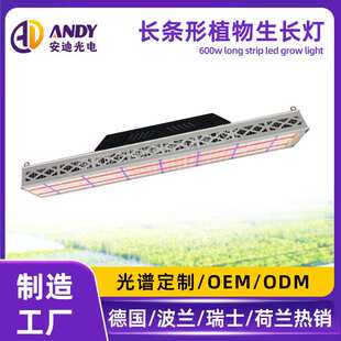 600瓦植物灯全光谱德国波兰瑞士蔬菜大棚增温条形植物生长补光灯