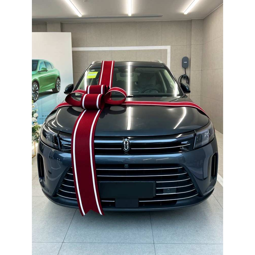 交车蝴蝶结电动汽车展厅AITO赛力斯提新车交付仪式装饰大红蝴蝶结