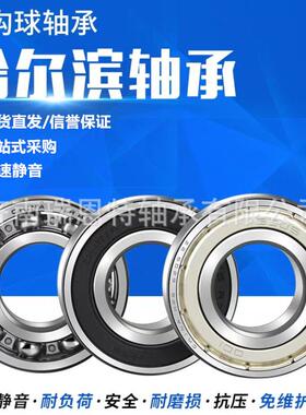 哈尔滨轴承6219轴承6219ZZ轴承6219-2RZ轴承 哈尔滨6219轴承