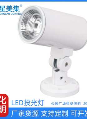 30W50Wled户外防水草坪照树投光灯DaLi调光庭院景观花园投光灯